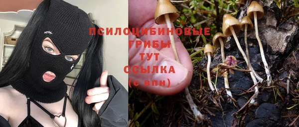 шишки Нефтегорск