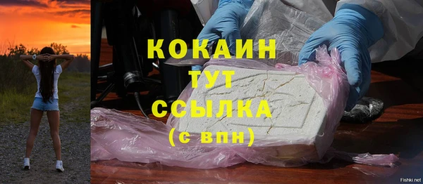 шишки Нефтегорск